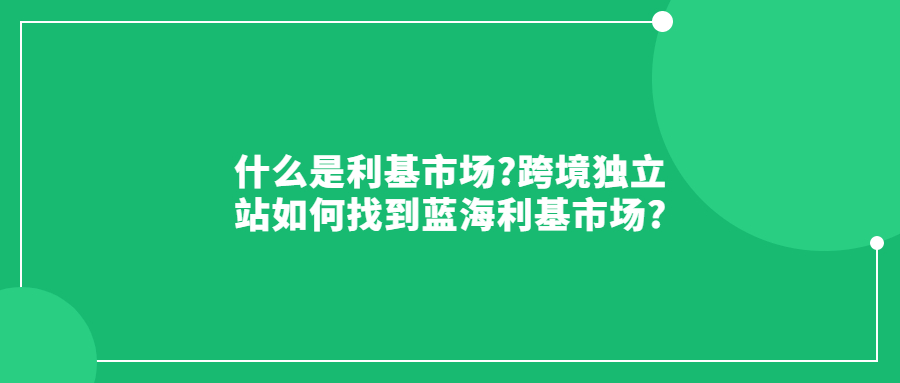 什么是利基市场?跨境独立站如何找到蓝海利基市场?