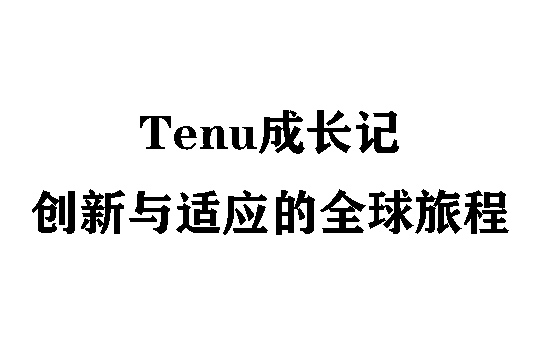 Temu成长记：创新与适应的全球旅程