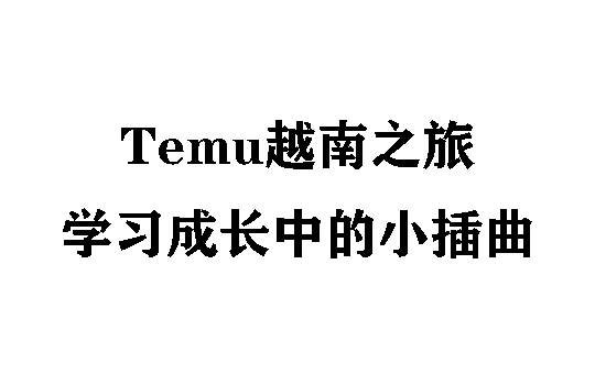 Temu越南之旅：学习成长中的小插曲