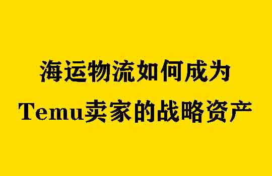 从“运货”到“驭规”：合规浪潮下，海运物流如何成为Temu卖家的战略资产