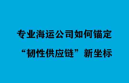 Temu版图扩张的幕后赢家:专业海运公司如何锚定“韧性供应链”新坐标