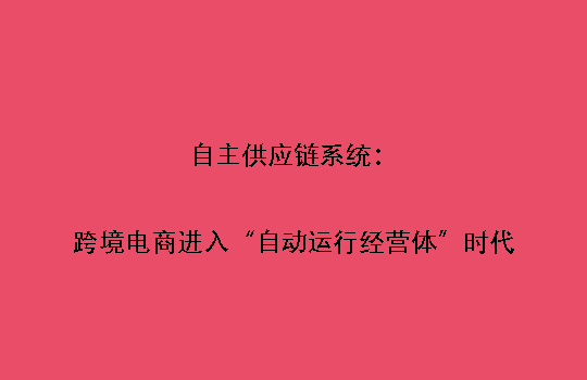自主供应链系统：跨境电商进入“自动运行经营体”时代