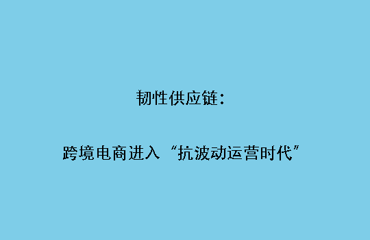 韧性供应链：跨境电商进入“抗波动运营时代”