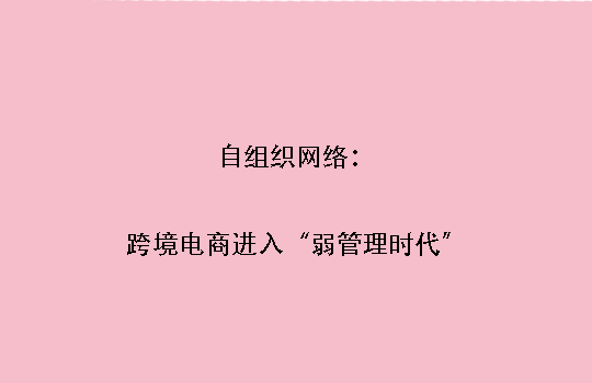 自组织网络：跨境电商进入“弱管理时代”
