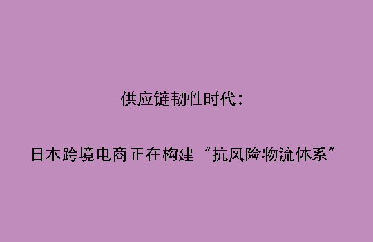 供应链韧性时代:日本跨境电商正在构建“抗风险物流体系”