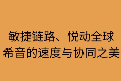 敏捷链路,悦动全球:希音的速度与协同之美