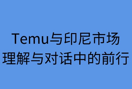 Temu与印尼市场：理解与对话中的前行
