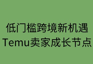 低门槛跨境新机遇：Temu卖家成长节点