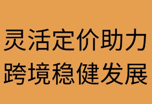 灵活定价助力跨境稳健发展