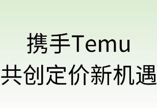 携手TEMU共创定价新机遇