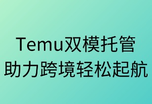 双模托管助力跨境轻松启航