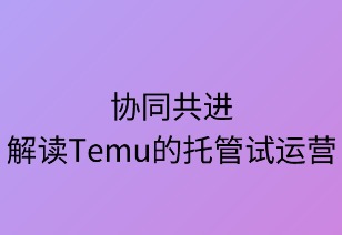 协同共进：解读Temu托管式运营