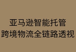 亚马逊智能托管：跨境物流全链路解析