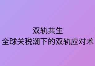 柔韧共生：全球关税潮下的双轨应对术