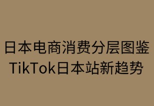 日本电商消费分层图鉴 TikTok揭示新趋势