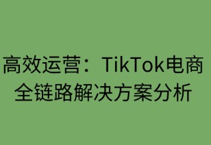 高效运营：TikTok电商全链路解决方案解析