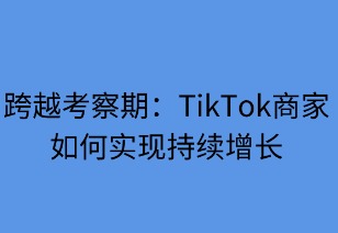 跨越考察期：TikTok商家如何实现持续增长