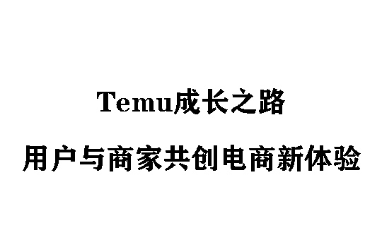 Temu成长之路:携手全球用户与商家共创电商新体验