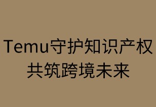 守护知识产权,共筑跨境未来