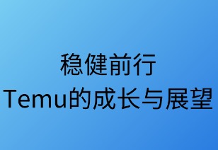 稳健前行：Temu的成长与展望