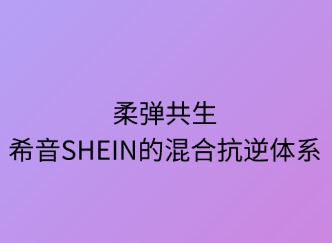 柔弹共生：SHEIN的混合抗逆体系