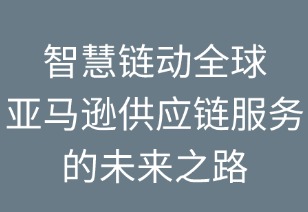 智慧链动全球：亚马逊供应链服务的未来之路