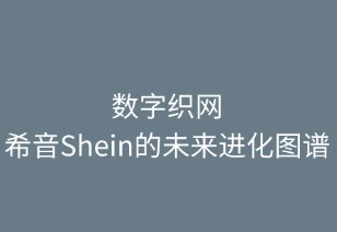 数字织网：SHEIN的未来进化图谱