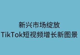 新兴市场绽放 TikTok短视频增长新图景