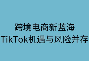 跨境电商新蓝海：机遇与风险并存