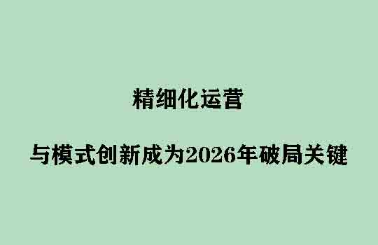海外仓的十字路口：精细化运营与模式创新成为2026年破局关键