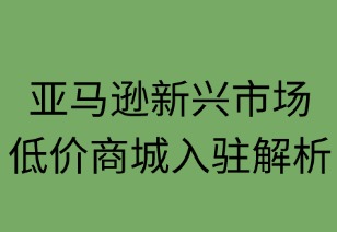 亚马逊新兴低价商城入驻条件解析