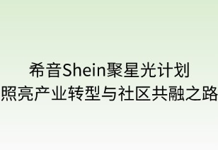 聚星光计划：照亮产业转型与社区共融之路