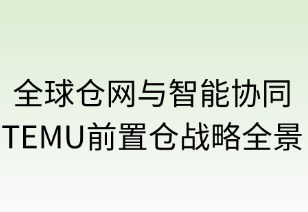 全球仓网与智能协同：TEMU前置仓战略全景