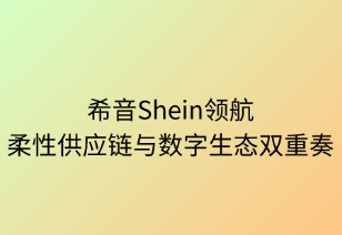 希音领航：柔性供应链与数字生态的双重奏