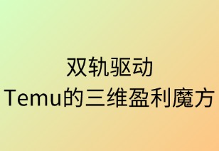 双轨驱动：Temu的三维盈利魔方