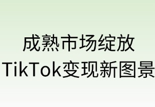 成熟市场绽放 TikTok变现新图景