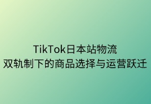 双轨制下的商品选择与运营跃迁