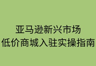 亚马逊新兴低价商城入驻实操指南