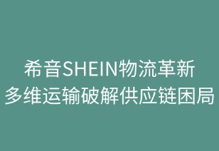 希音物流革新：多维运输策略破解全球供应链困局