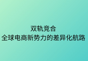 双轨竞合：全球电商新势力的差异化航路
