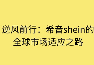 逆风前行:SHEIN的全球市场适应之路