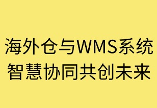 海外仓与WMS系统：智慧协同共创未来