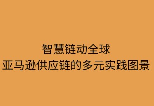 智慧链动全球：亚马逊供应链的多元实践图景