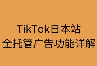 TikTok日本站全托管广告功能详解