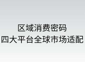 区域消费密码：四平台全球市场适配指南